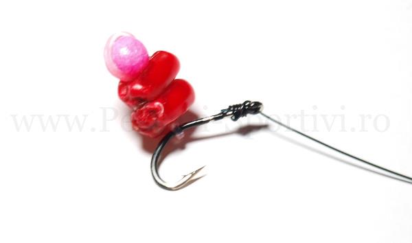 altele  - montura-sandich-33.jpg